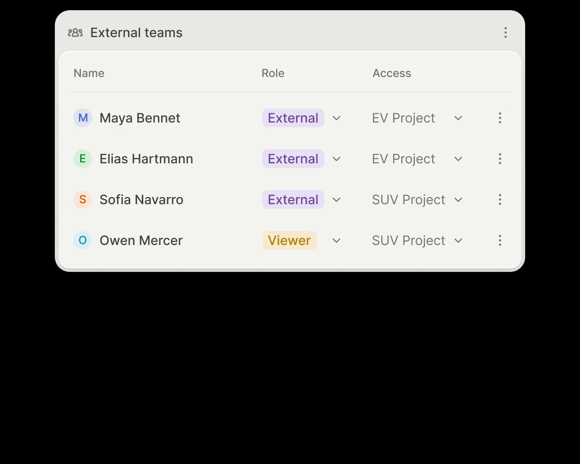 External team members with per-project roles and scoped access.